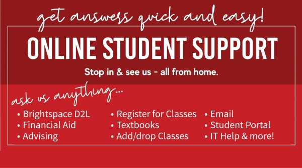 Photo for Online Student Support