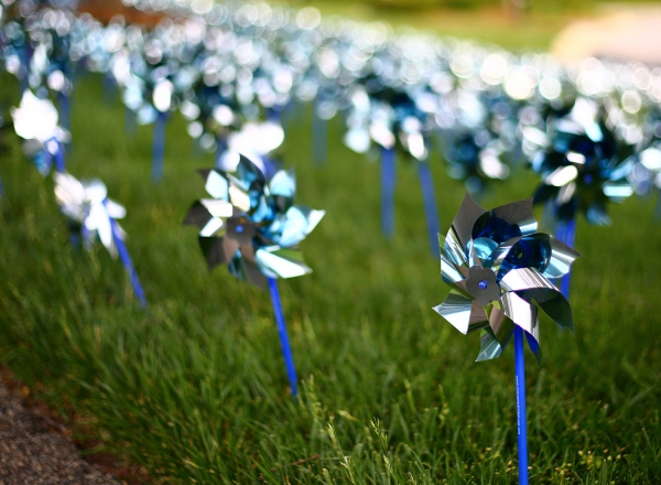 Photo for Pinwheels for Prevention